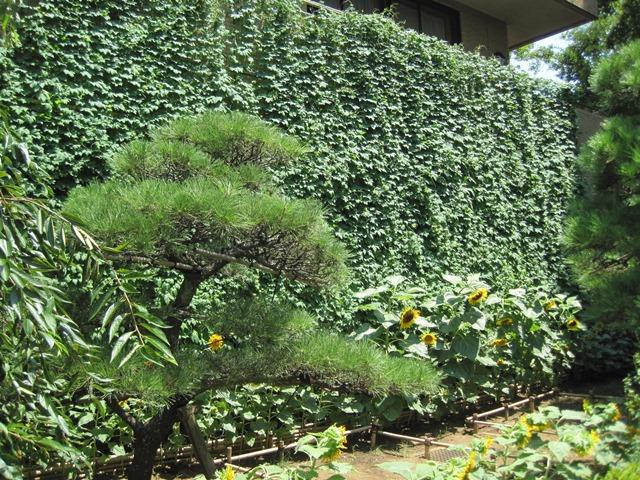 海神公民館ボランティア様写真