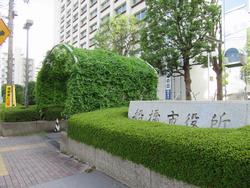 緑のカーテン