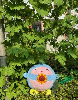 ふなわり