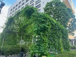 9月