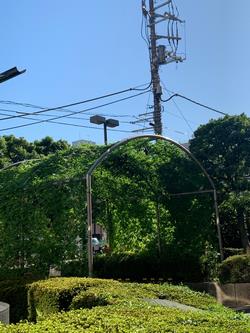 アーチになりましたが。