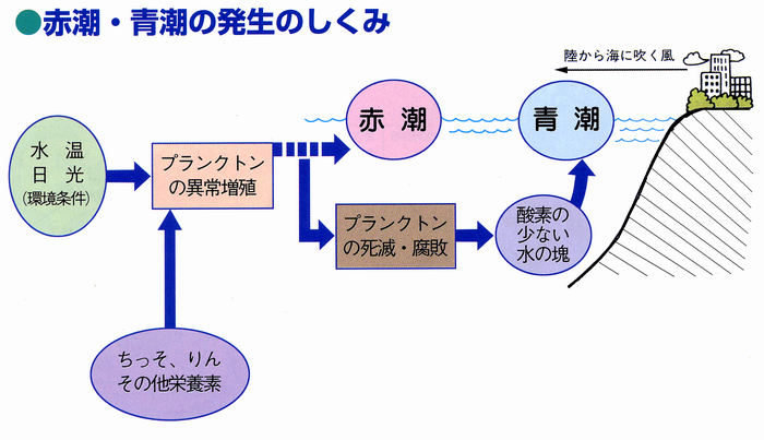 赤潮青潮