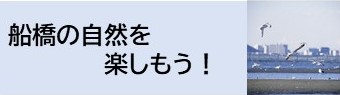 船橋の自然を楽しもう！