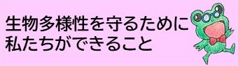 生物多様性を守るために私たちができること