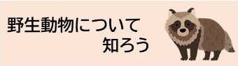 野生動物について知ろう