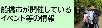 イベント等の情報