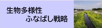 生物多様性ふなばし戦略