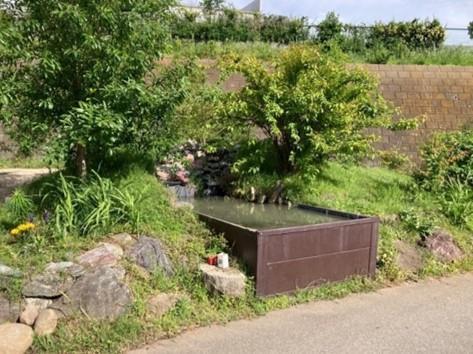 観察池