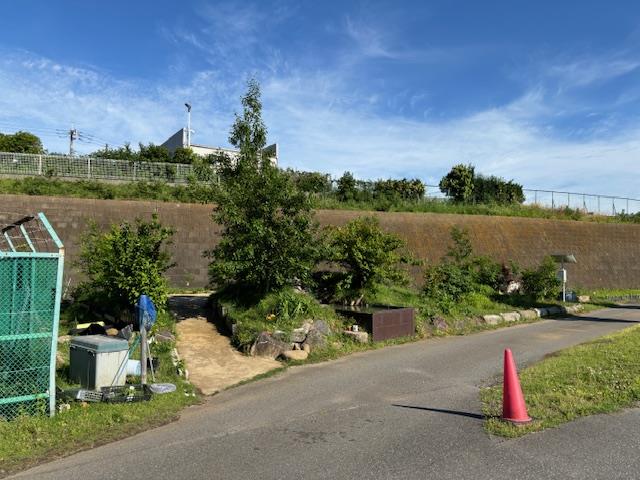 全景