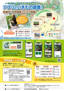 チラシ春表