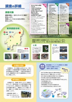 チラシ春裏