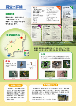 チラシ秋裏