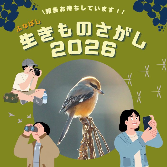 いきものさがし2026