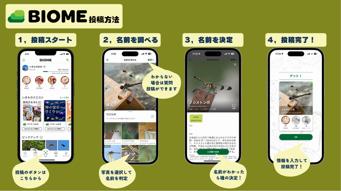 投稿方法