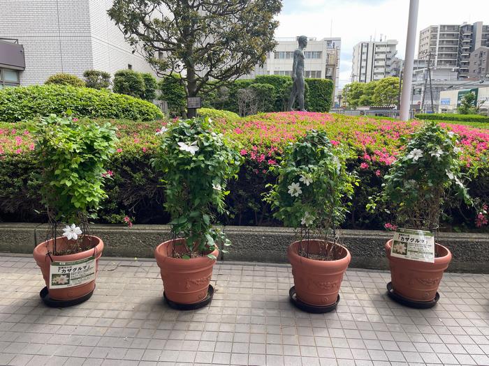 R8.5.8本庁舎2