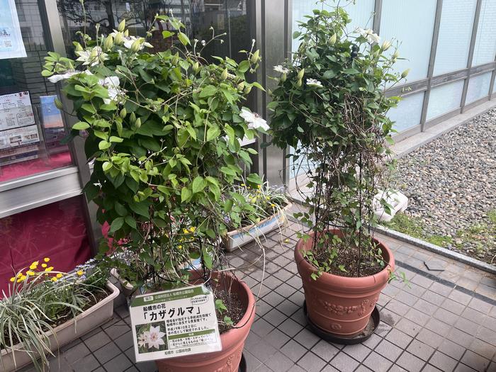 R7.4.28本庁舎前全体