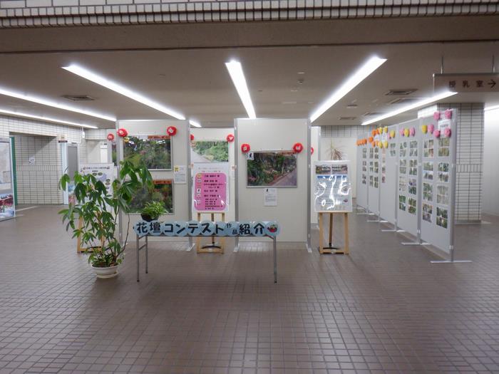 展示(1)