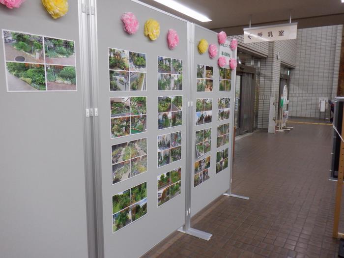 展示(3)