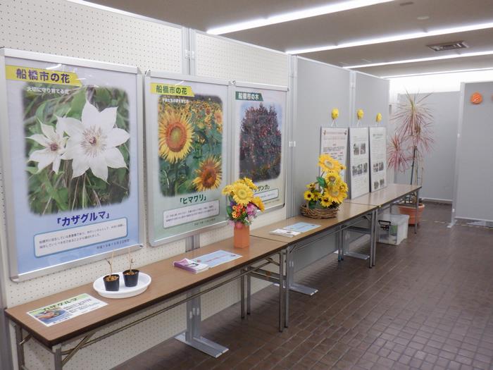展示(2)