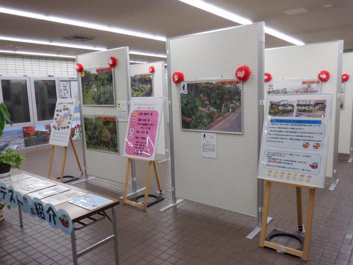 展示(1)