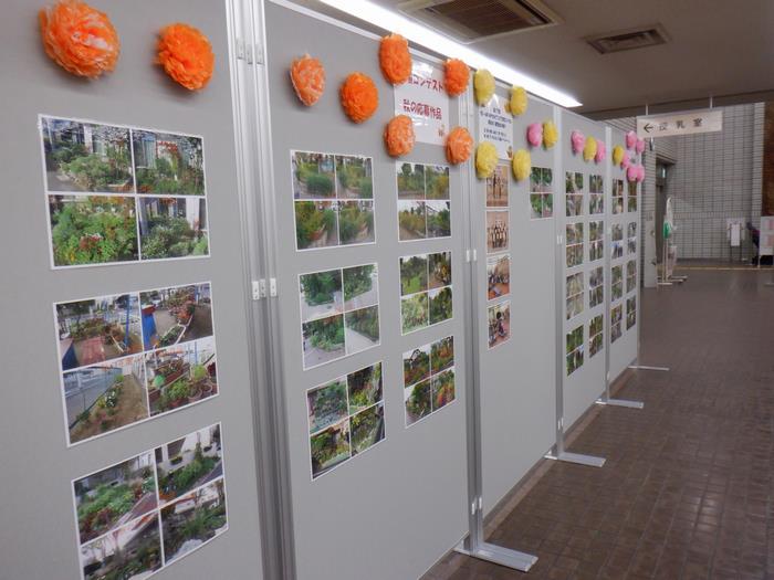 展示(3)