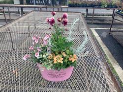 春の寄せ植えづくり