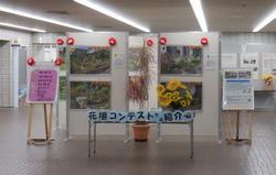 展示(1)