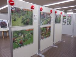 展示(3)