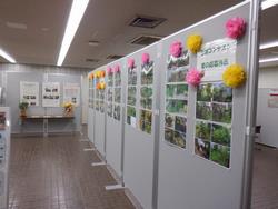 展示(2)