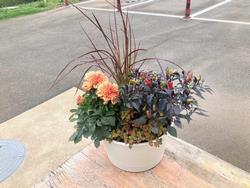 秋の寄せ植え作り