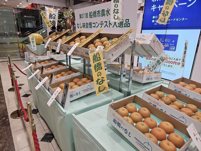 船橋の梨「味自慢コンテスト」入賞梨の展示