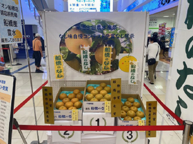 R7なし1