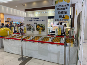 R7なし2
