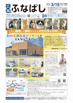 3月15日号