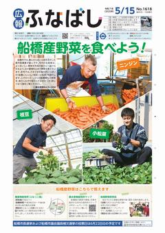 5月15日号