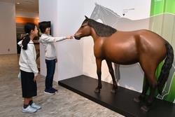 第一展示室（テーマ展示「船橋と馬」）
