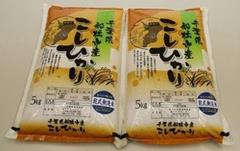こしひかり