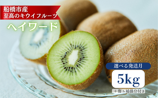 地元農家 「キウイフルーツ」