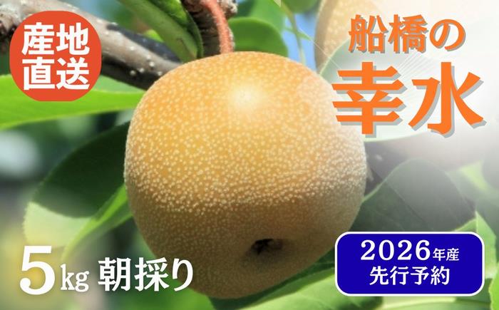 市内農家 「梨」