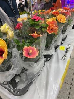 野菜即売会(2)