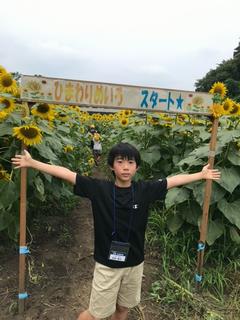 迷路