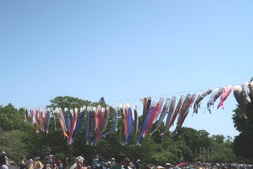 泳げ！みんなのこいのぼり