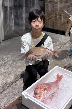 天然物と養殖の鯛