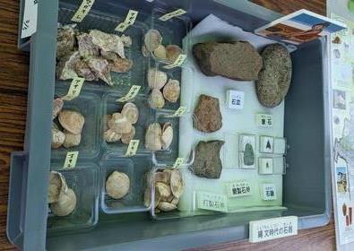 縄文時代の石器や貝類