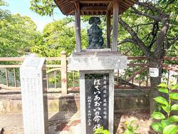 ほていあおいの命像
