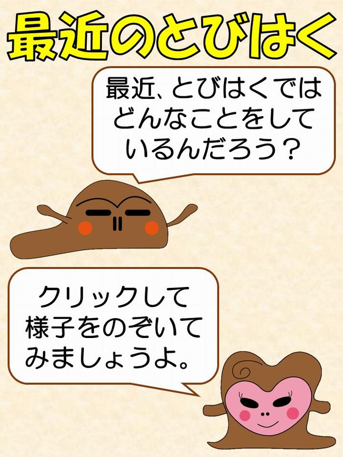 最近のとびはく
