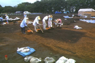 表土除去