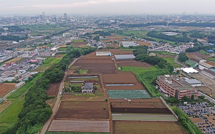 取掛西貝塚全景写真