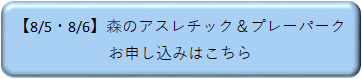 080506プレーパーク