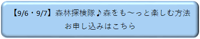 090607シンリンタンケン